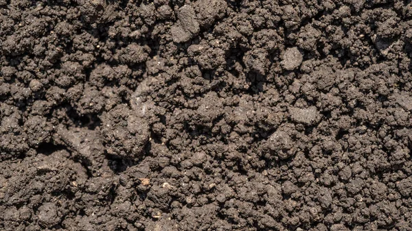 Dark Brown Crushed Lowland Peat Fertilizer Soil Component Background Agriculture — Stock Photo, Image