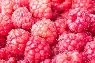 Olgun ahududu - yakın çekim, makro, yaz arkaplanı