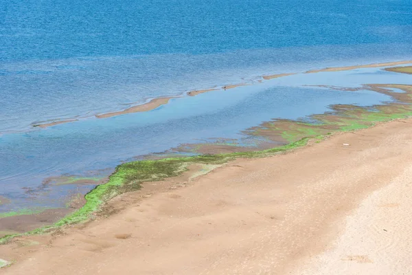 Playa Vacía Después Una Tormenta Con Algas Arrojadas Tierra — Foto de Stock