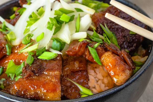 Bol Riz Ventre Porc Frit Gros Plan Plat Asiatique Traditionnel — Photo