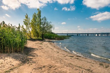 Ağaçları, sazlıkları ve arka planda bir köprüsü olan güzel nehir manzarası