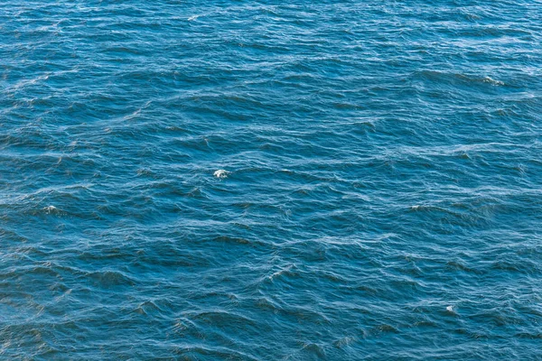 Морской Фон Текстура Воды Вода Небольшими Волнами Вид Сверху — стоковое фото