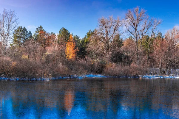 Paisagem Inverno Lago Florestal Com Gelo Fino Novo Árvores São — Fotografia de Stock