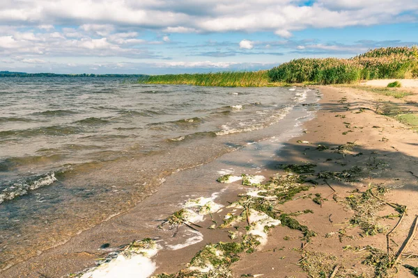 Praia Vazia Depois Uma Tempestade Com Algas Jogadas Terra — Fotografia de Stock