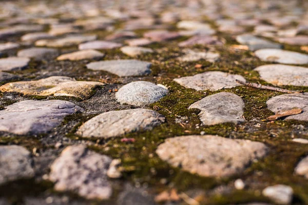 Ancient cobblestone road in close-up