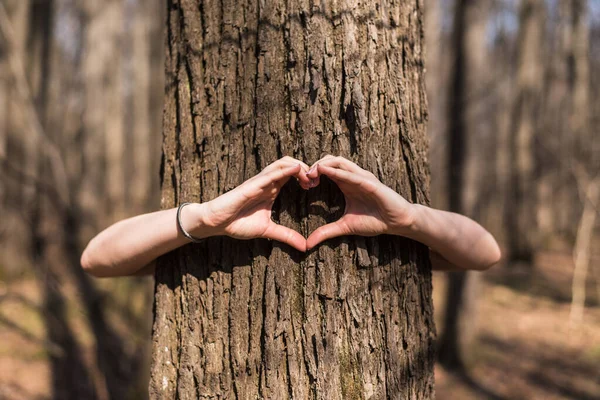 Female hands hug the trunk of a tree and make a heart