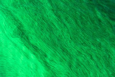 Sudaki yeşil yosunlar - güzel bulanık arkaplan