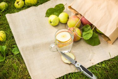 Kırsal bir arka planda bir bardak güz elması içeceği, taze elmalar.