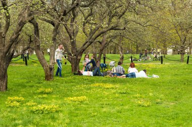 Rusya, Moskova, Voskresensky Bahçesi, Kolomenskoye Parkı, 2 Mayıs 2018 İnsanlar bahar bahçesinde dinleniyor, parkta piknik yapıyorlar.