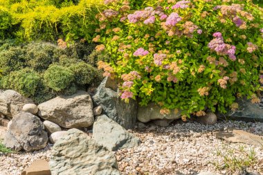 Element of landscape design - rockeries with mountain plants and stones clipart