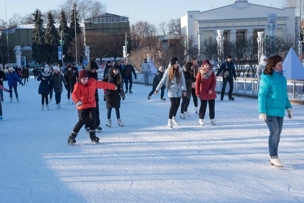 Rusya, Moskova, VDNH, 10 Ocak 2018 - Halkın Ekonomik Başarı Sergisi 'nde paten pisti