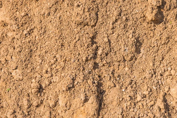 Bygga Sand Närbild Sandig Bakgrund — Stockfoto