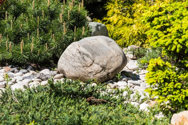 Diseño Del Paisaje Elemento Rocoso Composición Hermosa Las Piedras Las —  Fotos de Stock