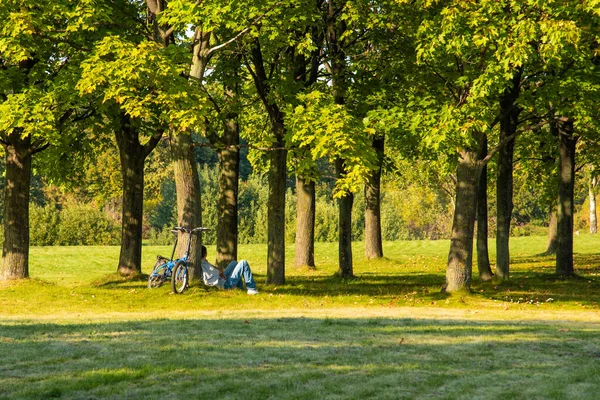 モスクワ ロシア 2019年9月7日 木の下の公園に男が休んでいる — ストック写真