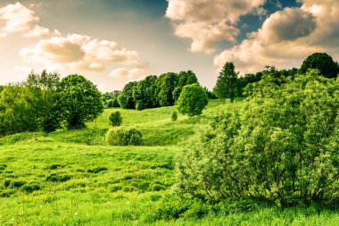 Tepeleri, ağaçları ve bulutları olan güzel yaz kırsalları