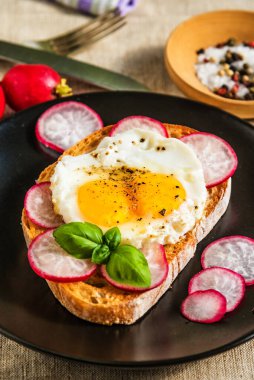 Saf arkaplanda sahanda yumurtalı, turplu ve fesleğenli sağlıklı sandviç.