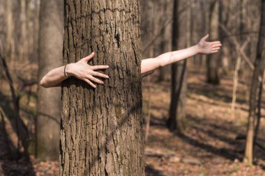 Kadın eli ve ağaç gövdesi