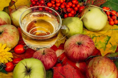 Sonbahar bahçesinde elma şarabı ve taze elmalar.