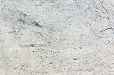 Kabataslak yüzeyi ile beyaz alçı kabarık arkaplan - grunge dokusu