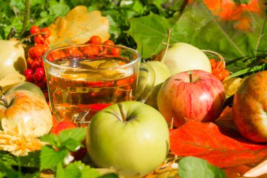 Sonbahar yaprakları, yaban mersinleri ve olgun elmaların arka planında bir bardak ev yapımı elma suyu.