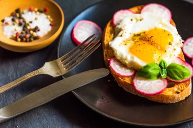 Sağlıklı organik sandviç, sahanda yumurta, turp, fesleğen ve siyah arka planda baharat.