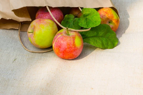 Manzanas Frescas Una Bolsa Papel Jardín Fondo Textil Rústico Espacio — Foto de Stock