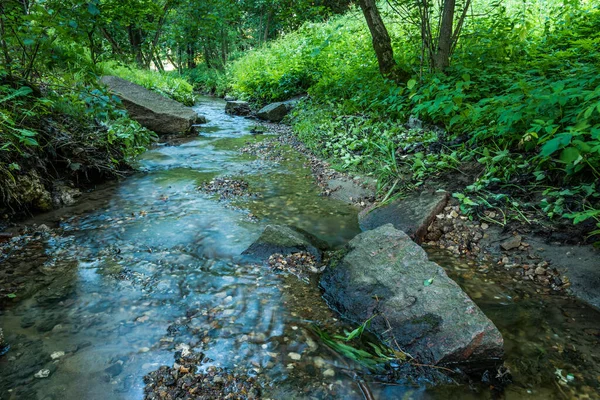 Landskap Med Bäck Sommarskog — Stockfoto