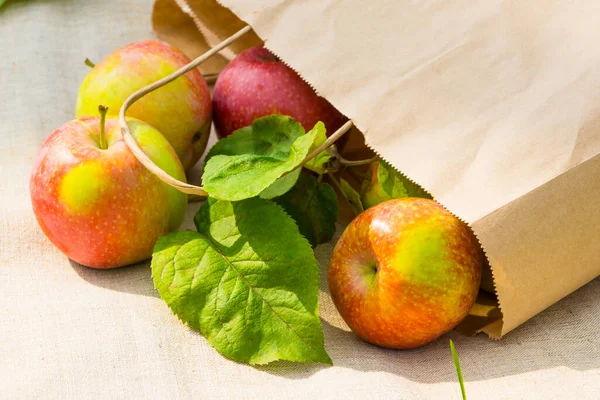Fresh apples in a paper bag in the garden, rustic textile background, copy space