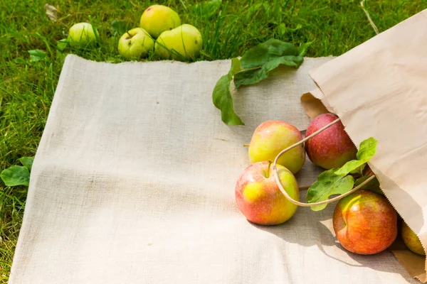 Manzanas Frescas Una Bolsa Papel Jardín Fondo Textil Rústico Espacio — Foto de Stock