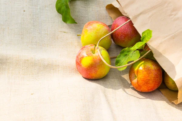 Fresh apples in a paper bag in the garden, rustic textile background, copy space