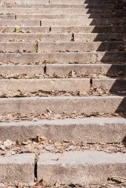 Geçen yılki kuru yapraklı eski taş merdiven.