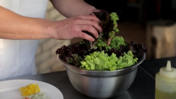 Cocinar Lechuga | Pone A Cocinar En Los Anillos De Cebolla Lechuga Y Salsa De La Cocinar Lechuga | Pone A Cocinar En Los Anillos De Cebolla Lechuga Y Salsa De La