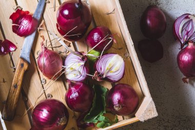 Taze kırmızı soğan ampul ahşap çiftçiler kutusunda hasat
