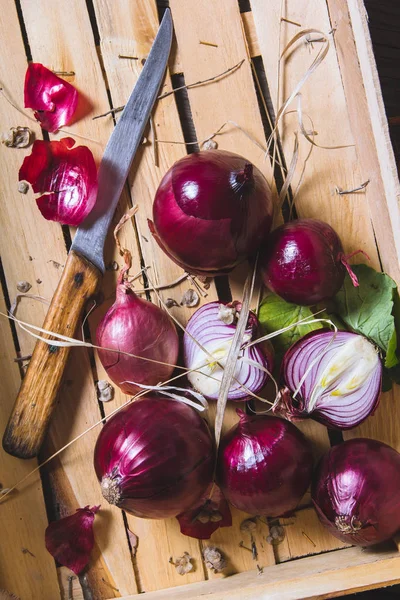 Taze kırmızı soğan ampul ahşap çiftçiler kutusunda hasat