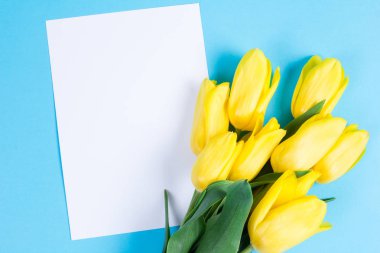 Güzel taze Sarı laleler metin için mavi arka plan ve blanc kartındaki buket