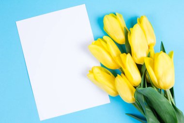 Güzel taze Sarı laleler metin için mavi arka plan ve blanc kartındaki buket