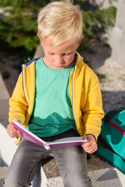 Estudante bonito com livros e uma mochila — Fotografia de Stock