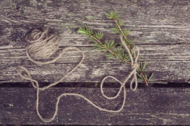 Köknar ve dekoratif ip ile güzel stillife arka plan 