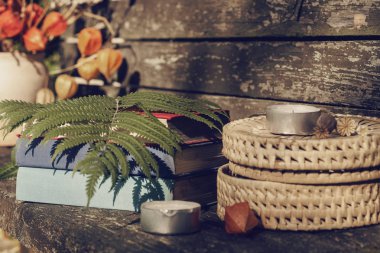 Güzel stillife arka plan ile kitap ve tesisleri