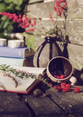 Güzel stillife bir kitap ve bitkiler