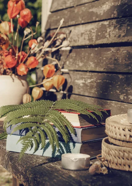 Hermoso fondo de bodegón con libro y plantas — Foto de Stock