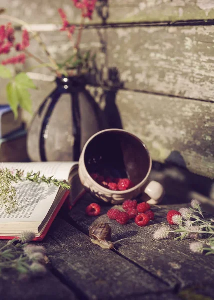 Hermosa naturaleza muerta con un libro y plantas — Foto de Stock