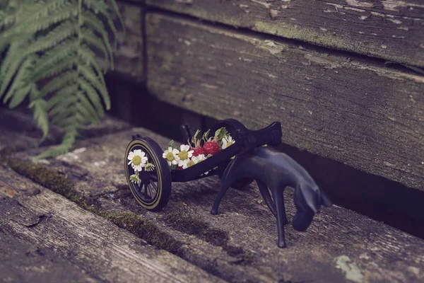 Caballo tirando de un carro con flores y bayas — Foto de Stock