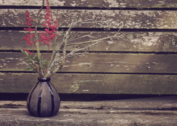 Schöne Pflanzen in einer Vase auf einem hölzernen Hintergrund — Stockfoto