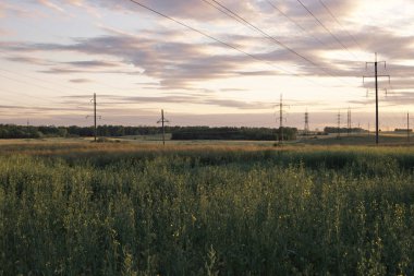 Güç hatları alanında güzel gün batımı