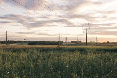 Gökyüzünde güzel bir günbatımı Yazın bulutlar ve elektrik kabloları