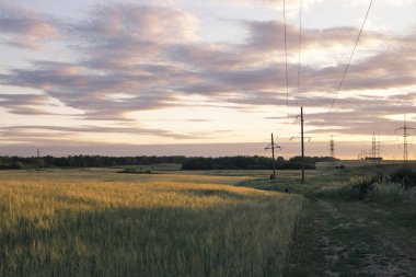 Güç hatları alanında güzel gün batımı
