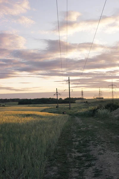 Güç hatları alanında güzel gün batımı