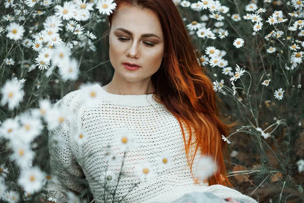 Retrato de uma linda menina ruiva em um campo de camomila — Fotografia de Stock