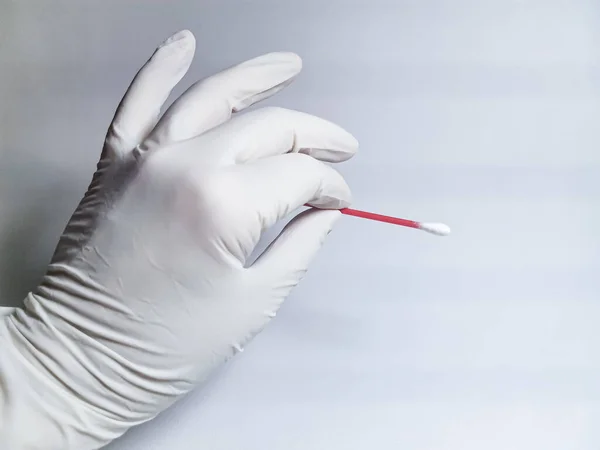 A hand in a white rubber glove holds a cotton bud on a gray background. Concept: protection against virus and bacteria, sterile environment, maintaining health. Medical Testing, DNA Test